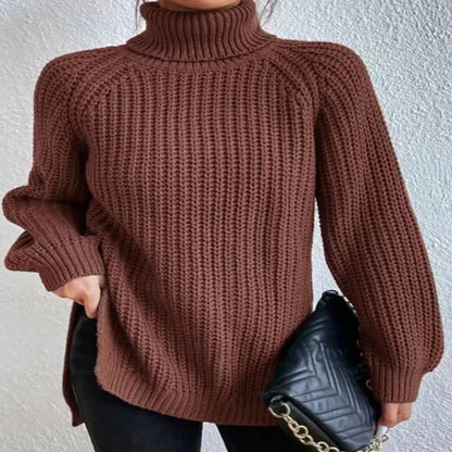Pull Col Roulé Ample
