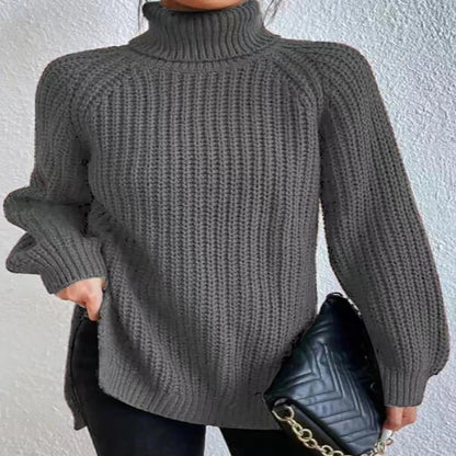 Pull Col Roulé Ample