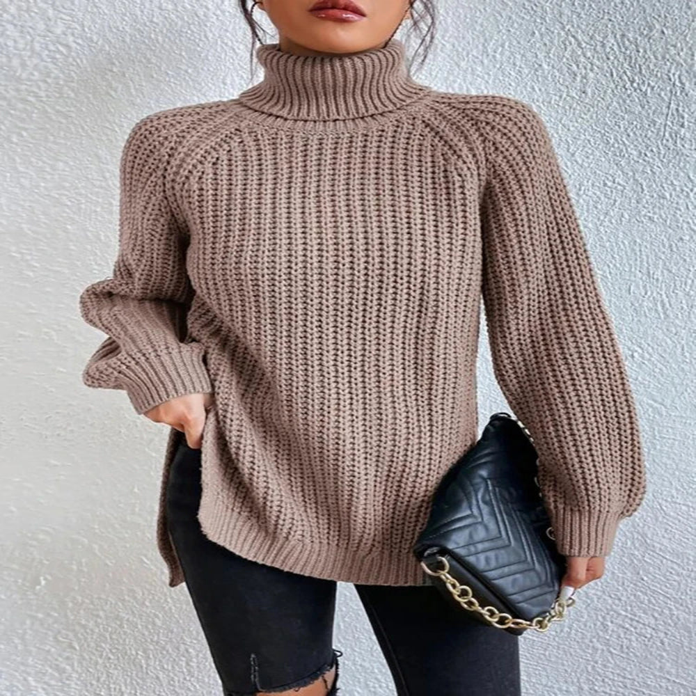 Pull Col Roulé Ample