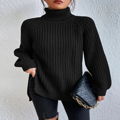 Pull Col Roulé Ample