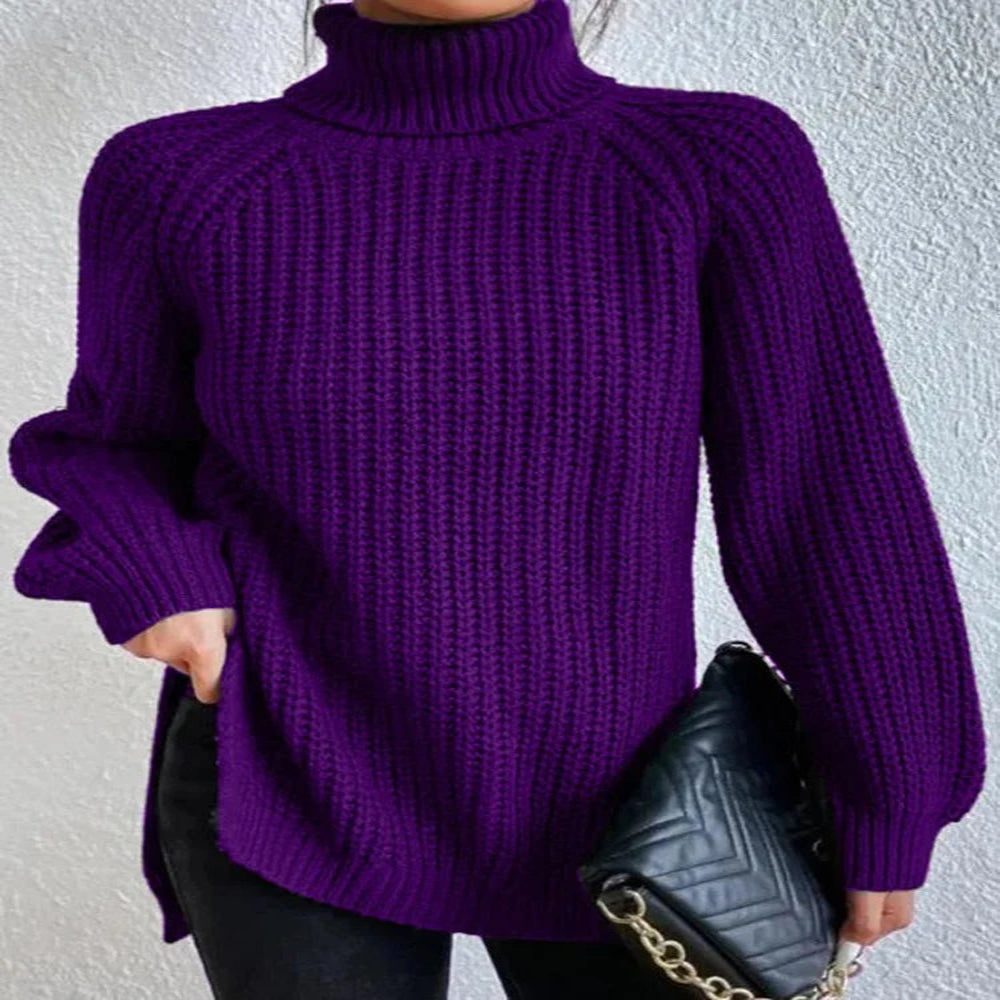 Pull Col Roulé Ample