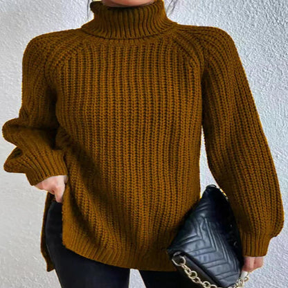 Pull Col Roulé Ample